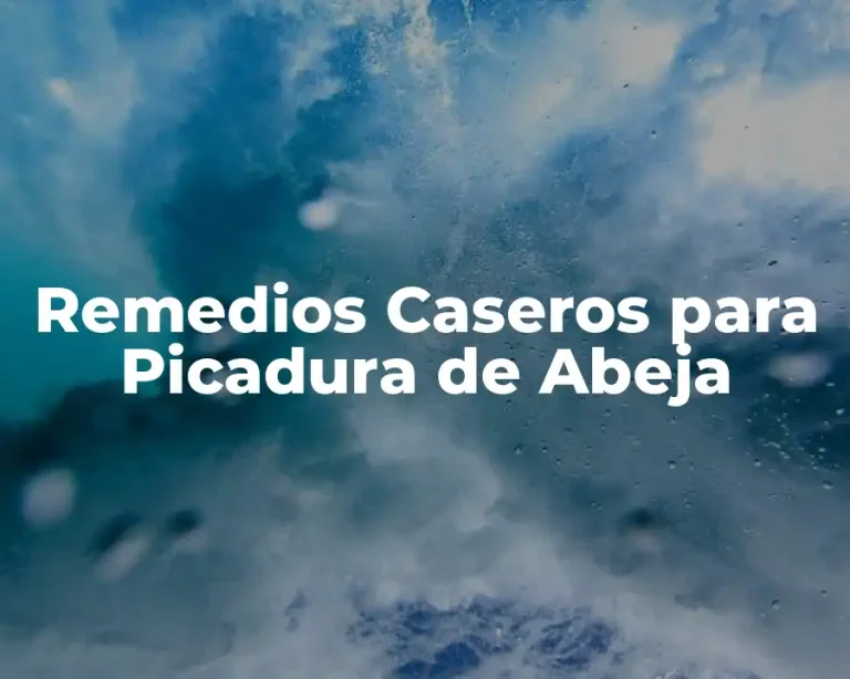 Remedios Caseros para Picadura de Abeja