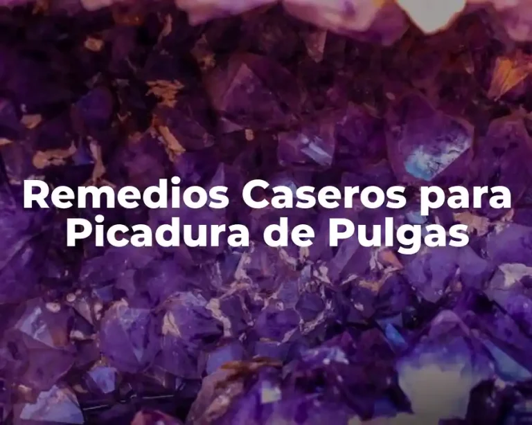 Remedios Caseros para Picadura de Pulgas