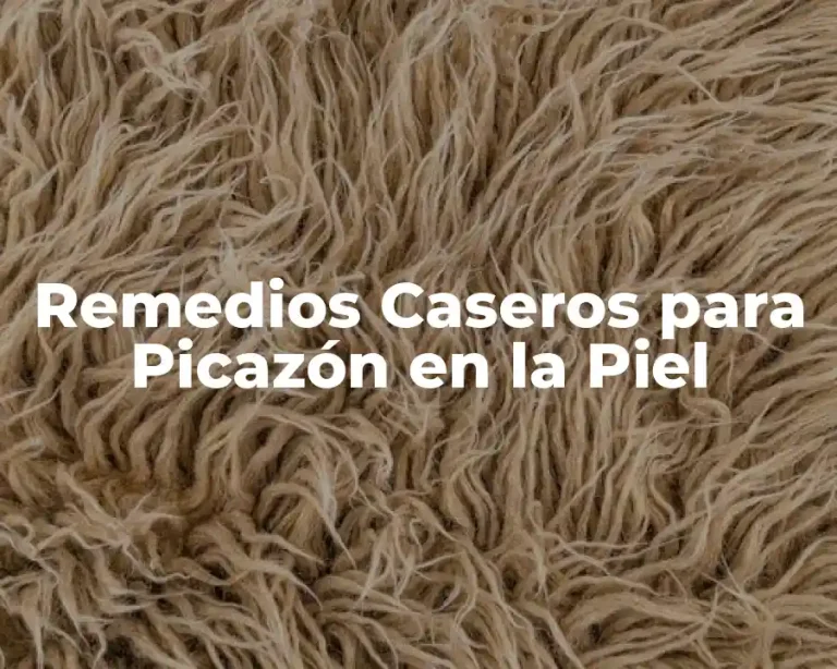 Remedios Caseros para Picazón en la Piel