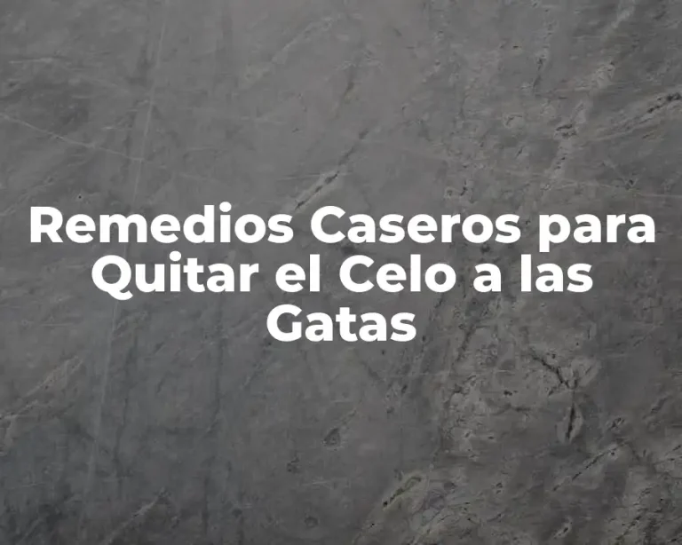 Remedios Caseros para Quitar el Celo a las Gatas