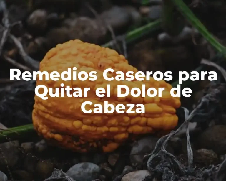 Remedios Caseros para Quitar el Dolor de Cabeza