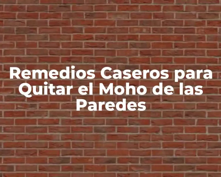 Remedios Caseros para Quitar el Moho de las Paredes