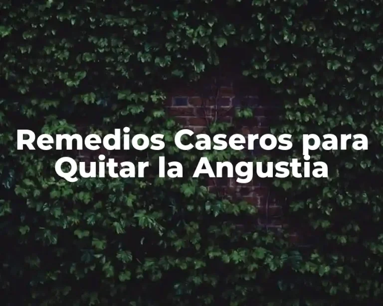 Remedios Caseros para Quitar la Angustia