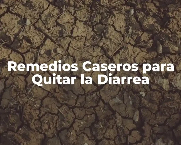 Remedios Caseros para Quitar la Diarrea