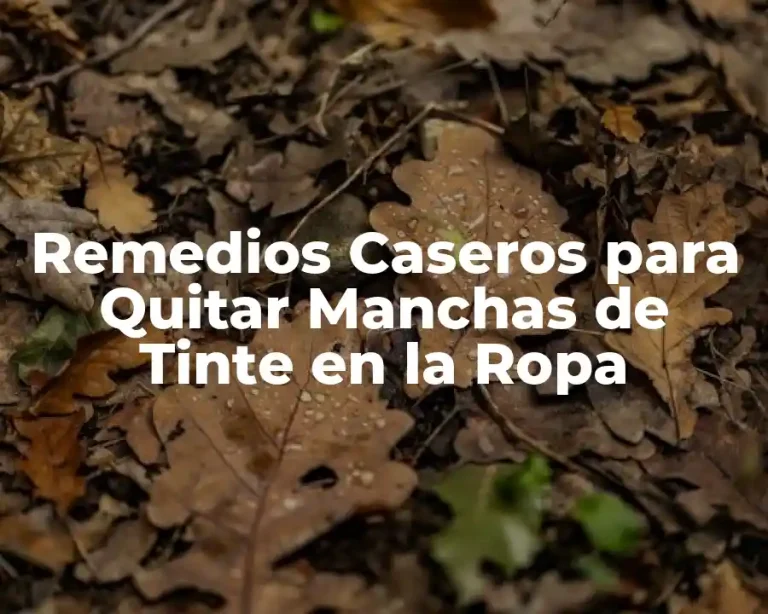 Remedios Caseros para Quitar Manchas de Tinte en la Ropa