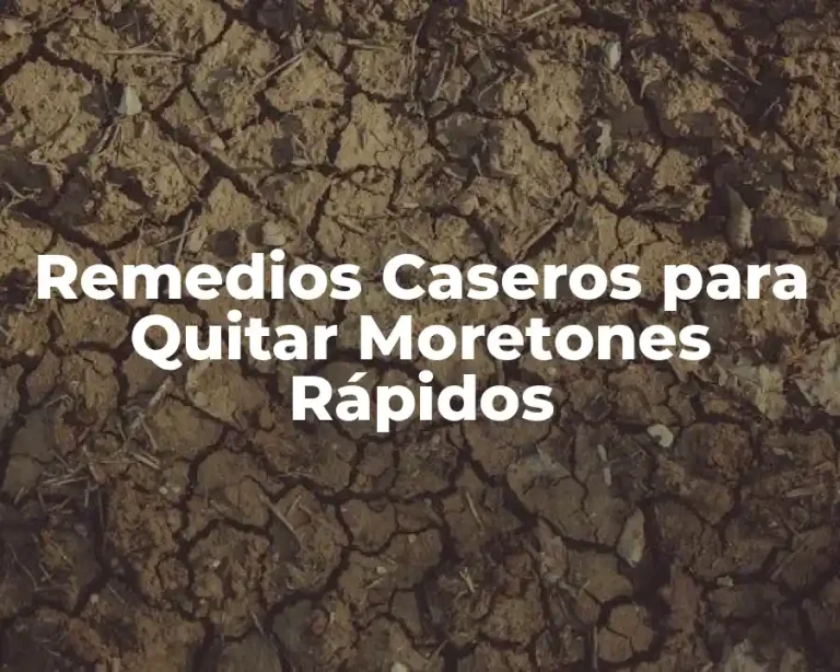Remedios Caseros para Quitar Moretones Rápidos
