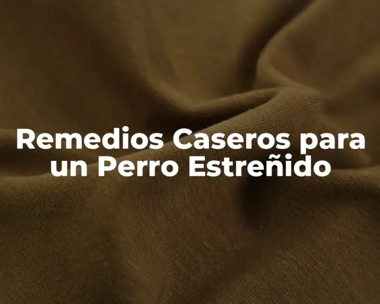 Remedios Caseros para un Perro Estreñido