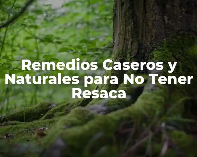 Remedios Caseros y Naturales para No Tener Resaca