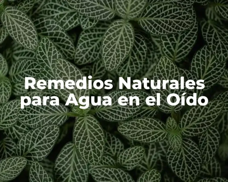 Remedios Naturales para Agua en el Oído