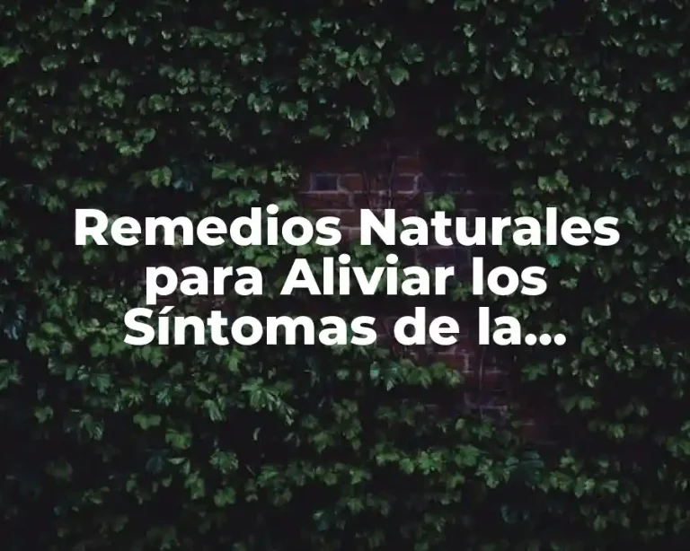Remedios Naturales para Aliviar los Síntomas de la Menopausia