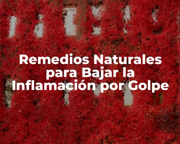 Remedios Naturales para Bajar la Inflamación por Golpe