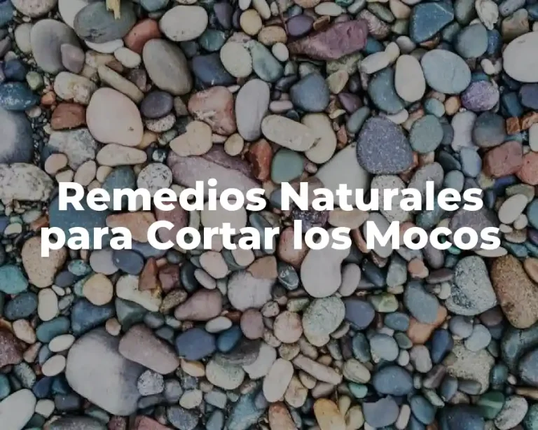Remedios Naturales para Cortar los Mocos