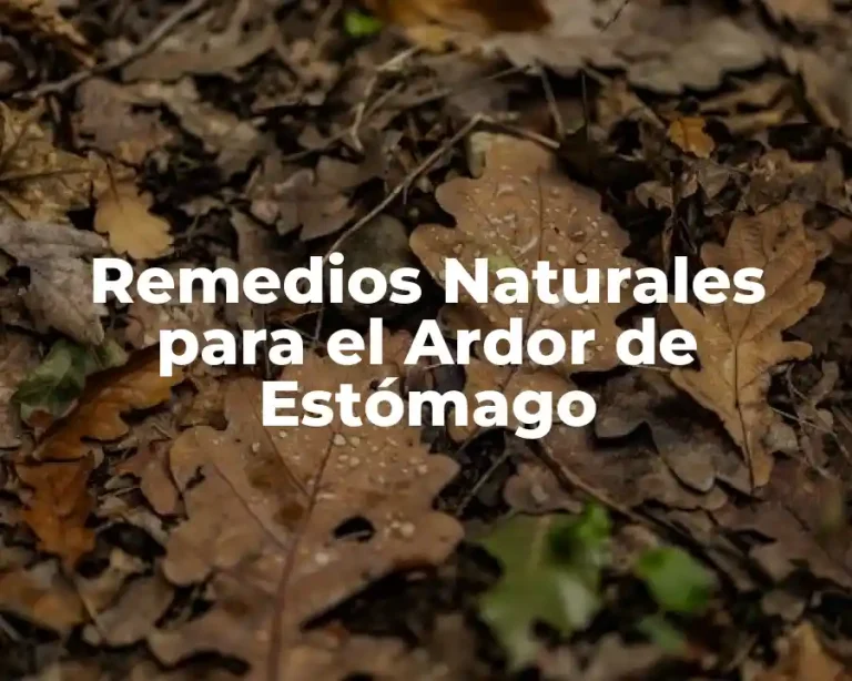 Remedios Naturales para el Ardor de Estómago