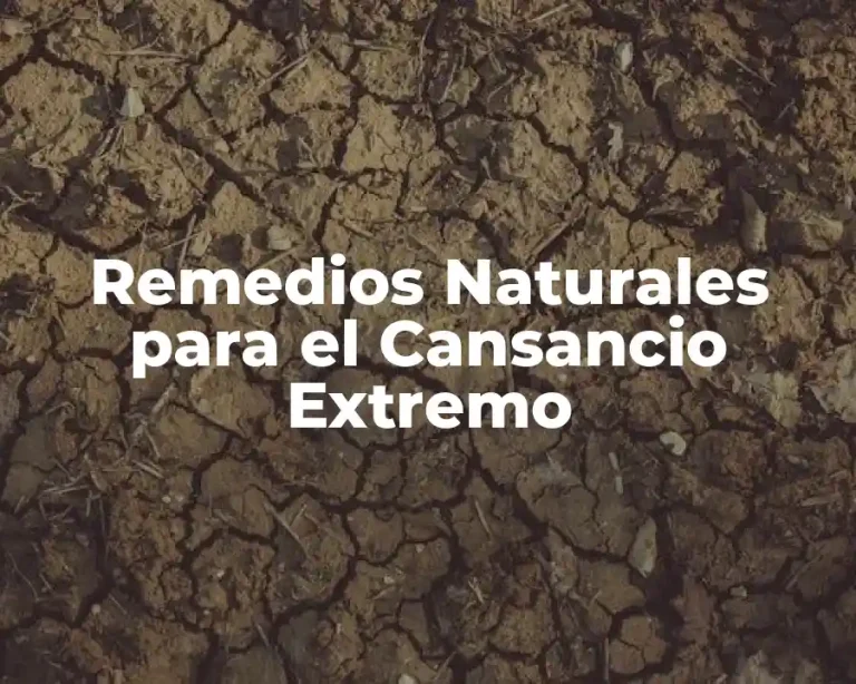 Remedios Naturales para el Cansancio Extremo