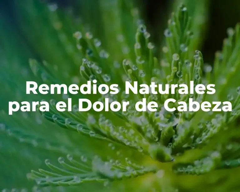 Remedios Naturales para el Dolor de Cabeza