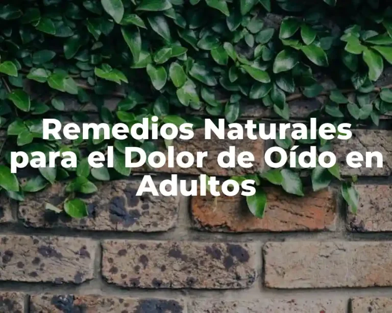 Remedios Naturales para el Dolor de Oído en Adultos