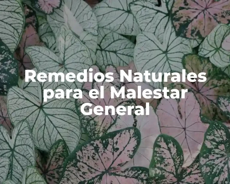 Remedios Naturales para el Malestar General