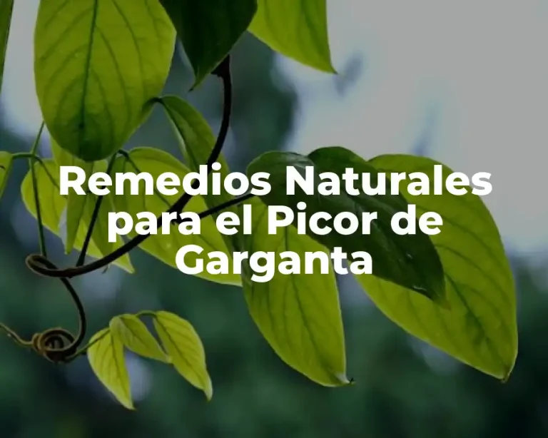 Remedios Naturales para el Picor de Garganta