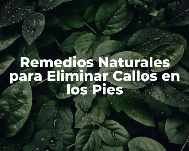 Remedios Naturales para Eliminar Callos en los Pies