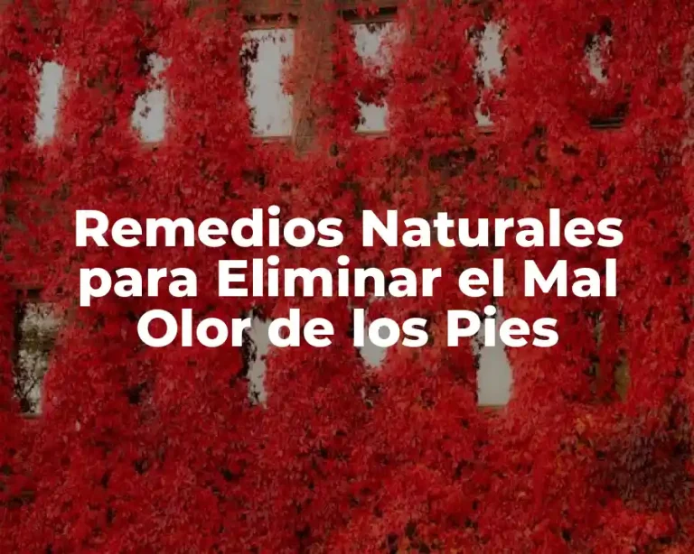 Remedios Naturales para Eliminar el Mal Olor de los Pies