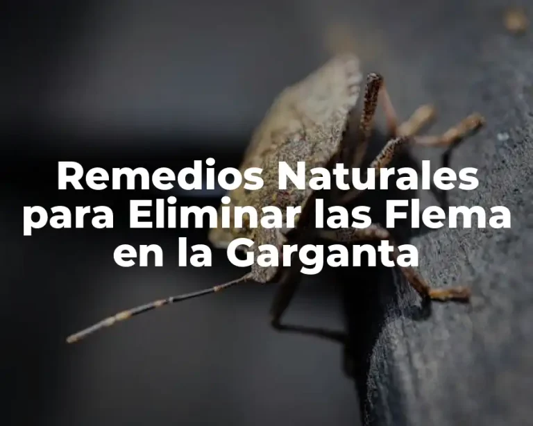 Remedios Naturales para Eliminar las Flema en la Garganta