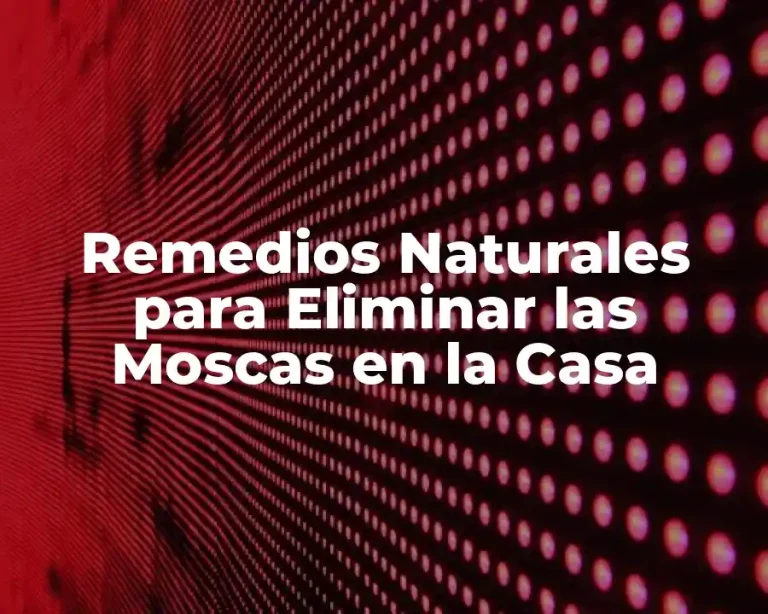Remedios Naturales para Eliminar las Moscas en la Casa
