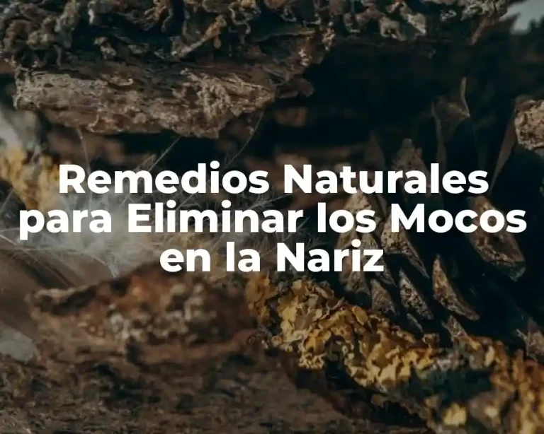 Remedios Naturales para Eliminar los Mocos en la Nariz