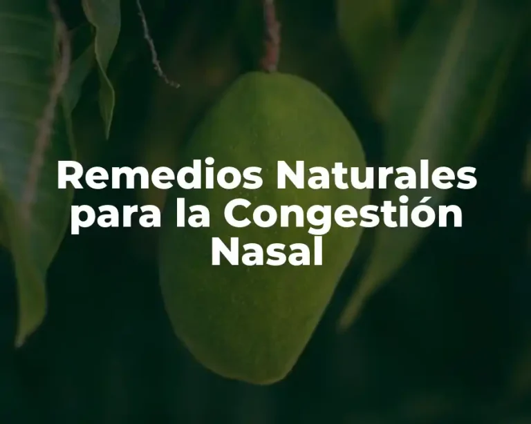 Remedios Naturales para la Congestión Nasal