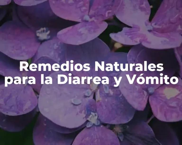Remedios Naturales para la Diarrea y Vómito