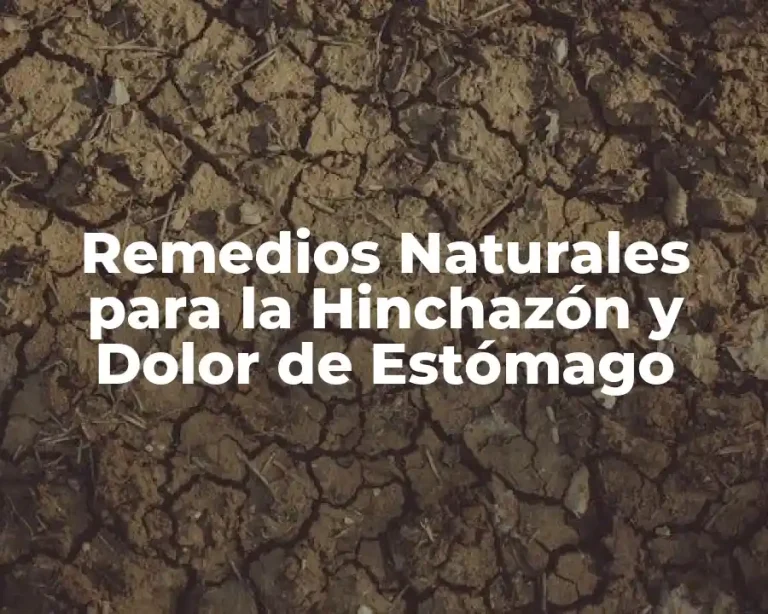 Remedios Naturales para la Hinchazón y Dolor de Estómago