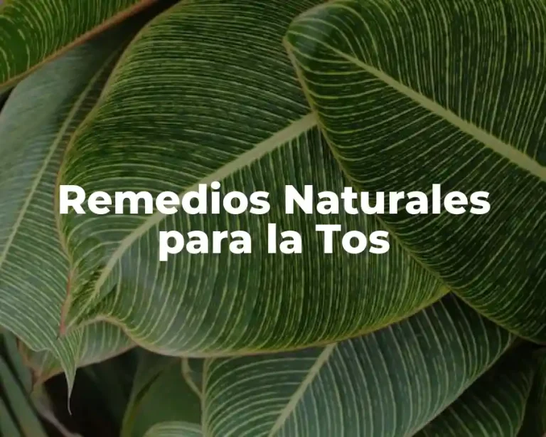 Remedios Naturales para la Tos