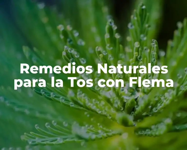 Remedios Naturales para la Tos con Flema