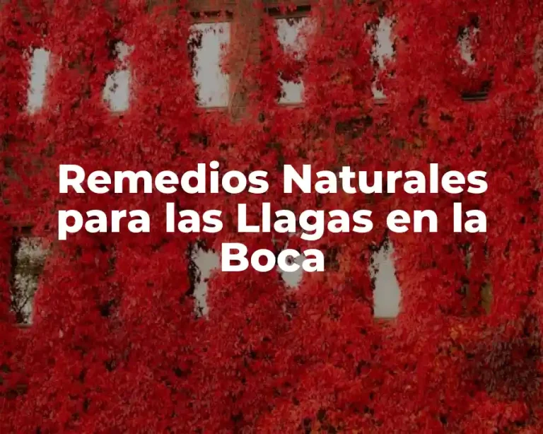 Remedios Naturales para las Llagas en la Boca