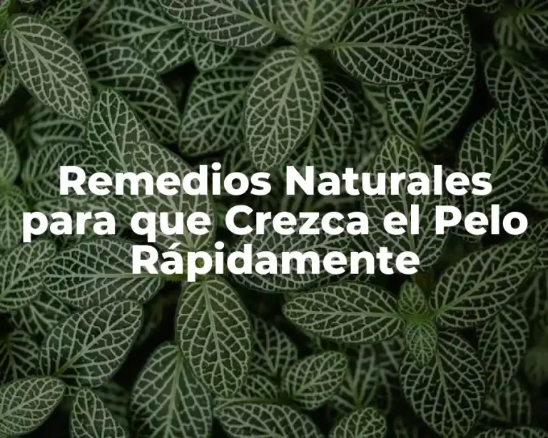 Remedios Naturales para que Crezca el Pelo Rápidamente