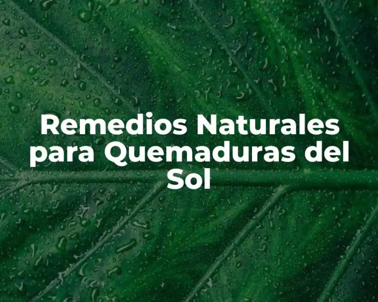 Remedios Naturales para Quemaduras del Sol