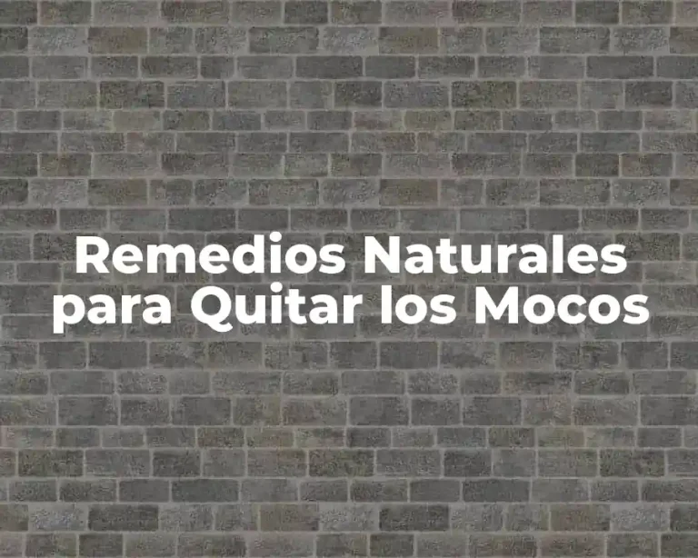 Remedios Naturales para Quitar los Mocos