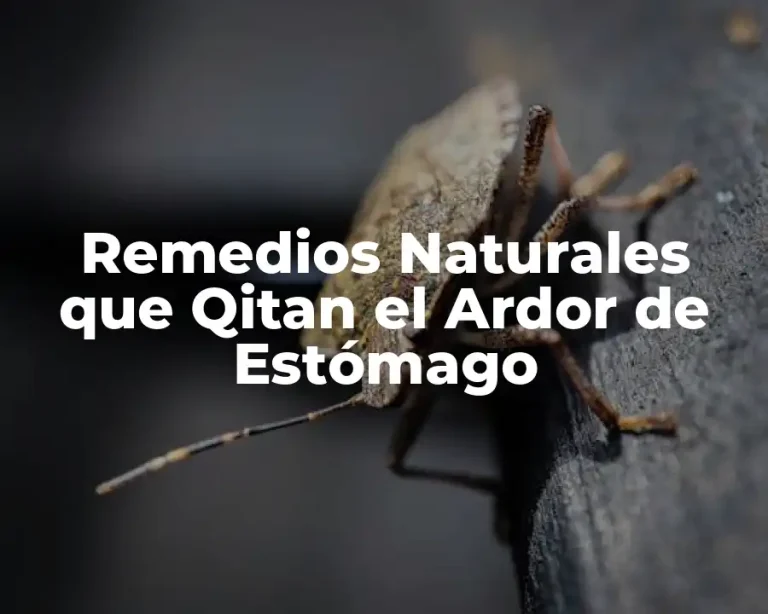 Remedios Naturales que Qitan el Ardor de Estómago
