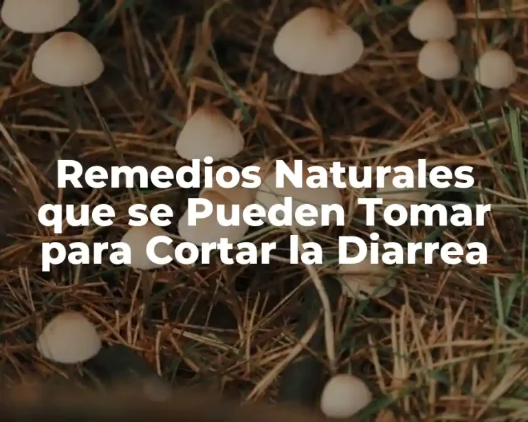 Remedios Naturales que se Pueden Tomar para Cortar la Diarrea