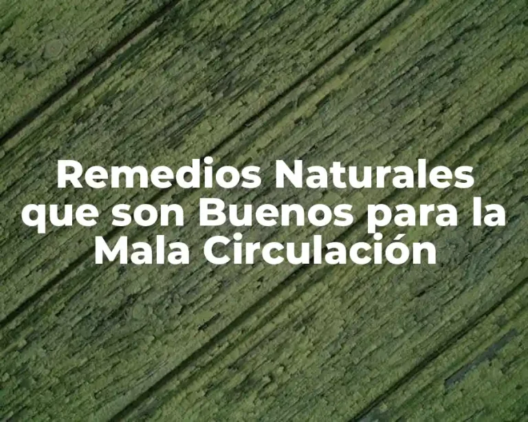 Remedios Naturales que son Buenos para la Mala Circulación