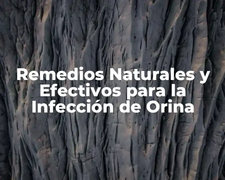 Remedios Naturales y Efectivos para la Infección de Orina