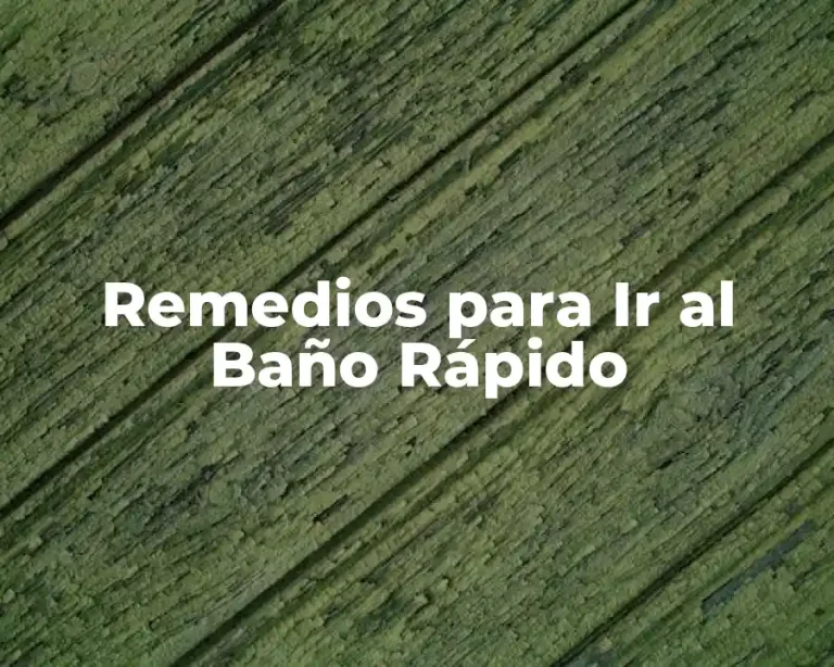 Remedios para Ir al Baño Rápido