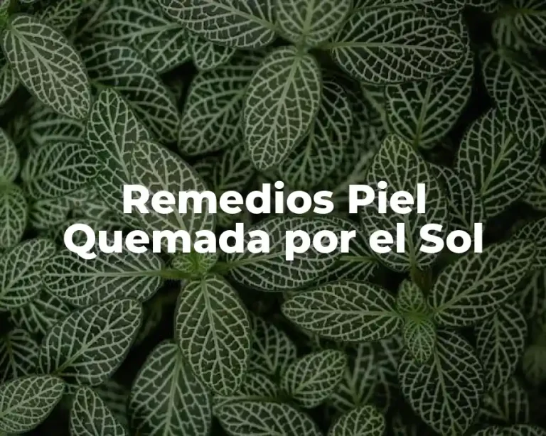 Remedios Piel Quemada por el Sol