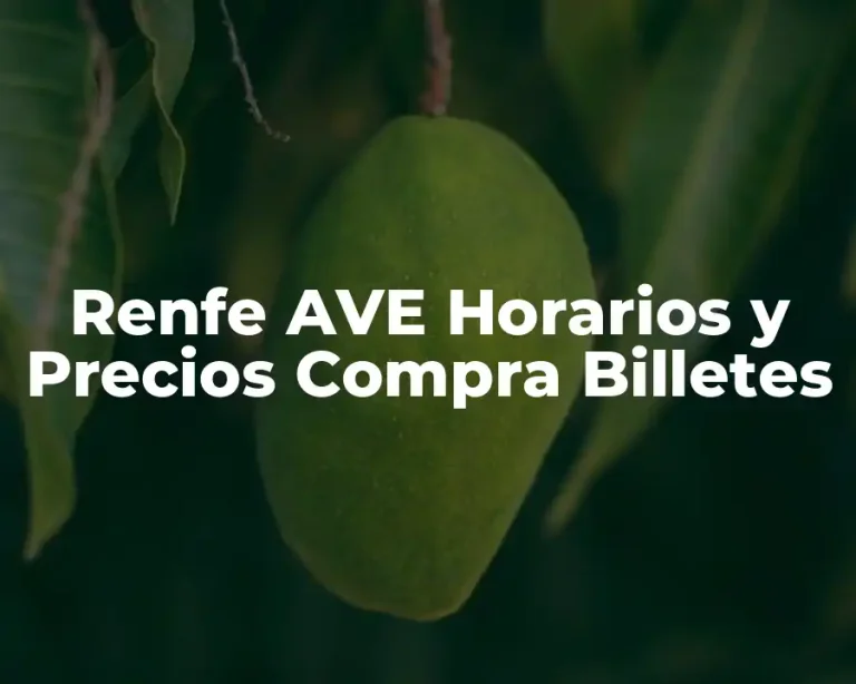 Renfe AVE Horarios y Precios Compra Billetes