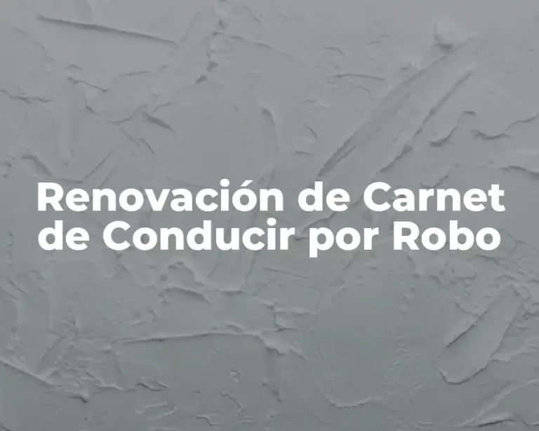 Renovación de Carnet de Conducir por Robo