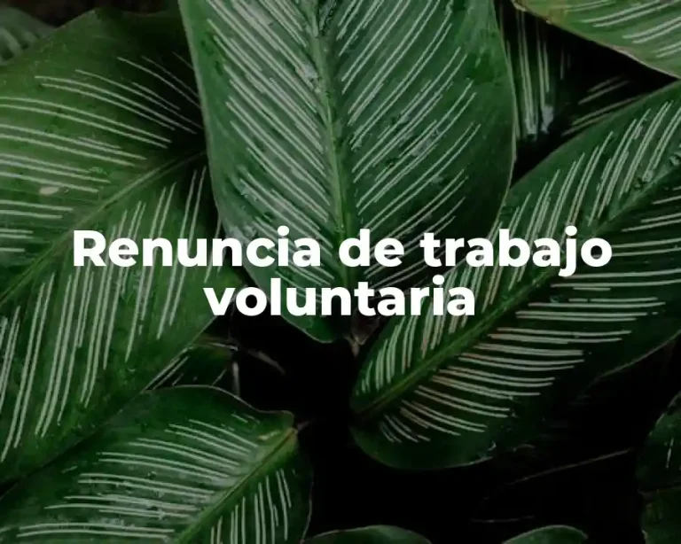 Renuncia de trabajo voluntaria