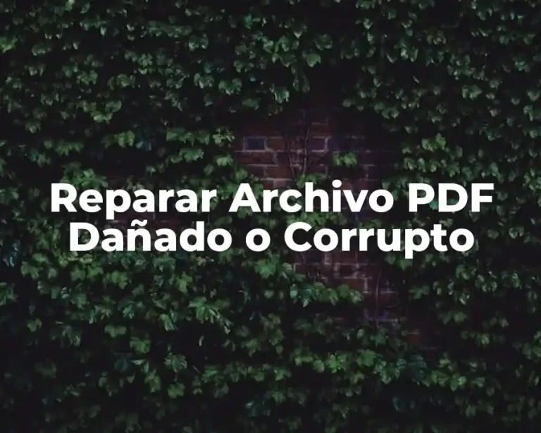 Reparar Archivo PDF Dañado o Corrupto