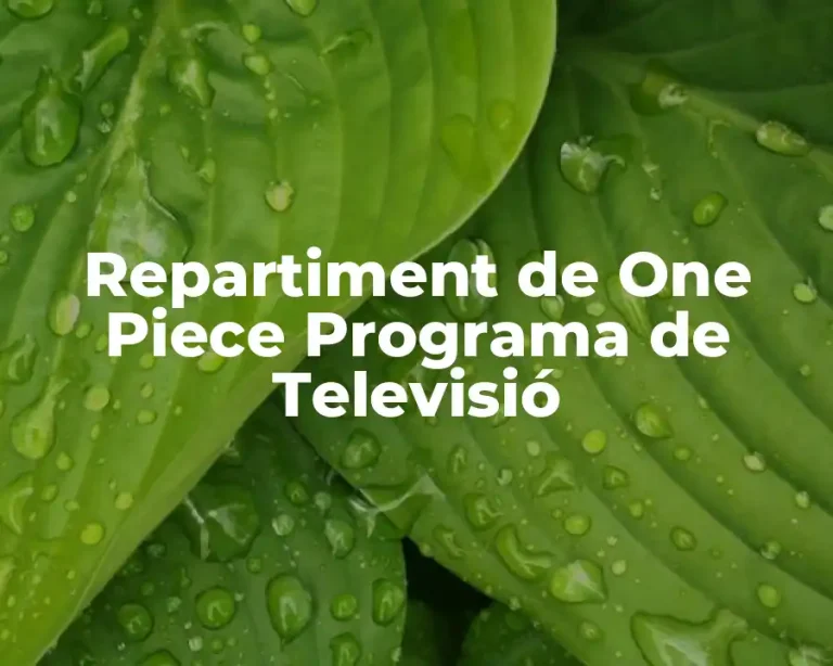 Repartiment de One Piece Programa de Televisió