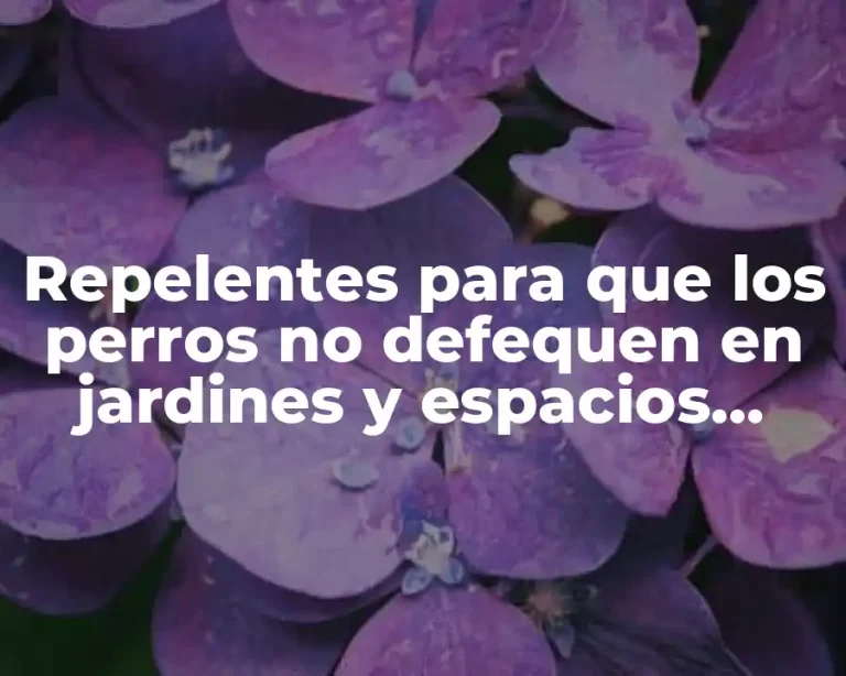 Repelentes para que los perros no defequen en jardines y espacios públicos