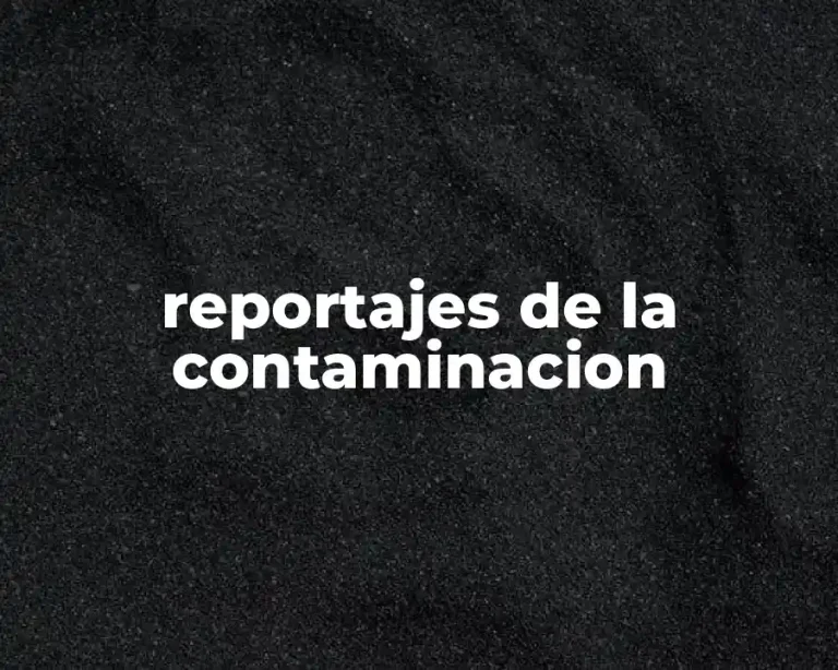 reportajes de la contaminacion