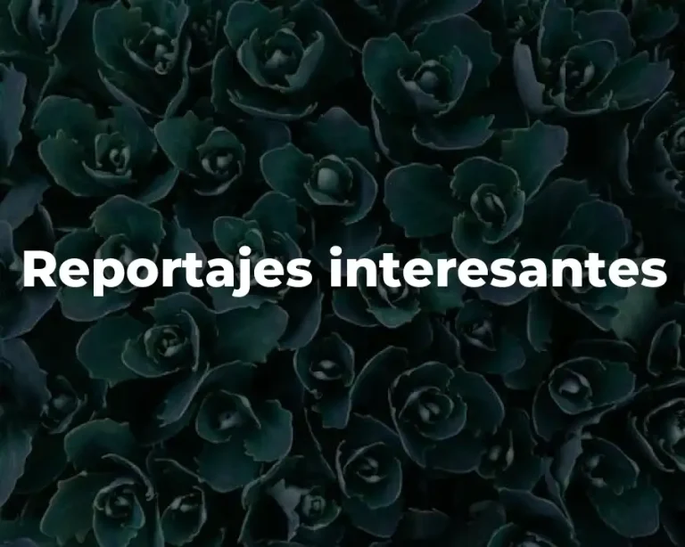 Reportajes interesantes